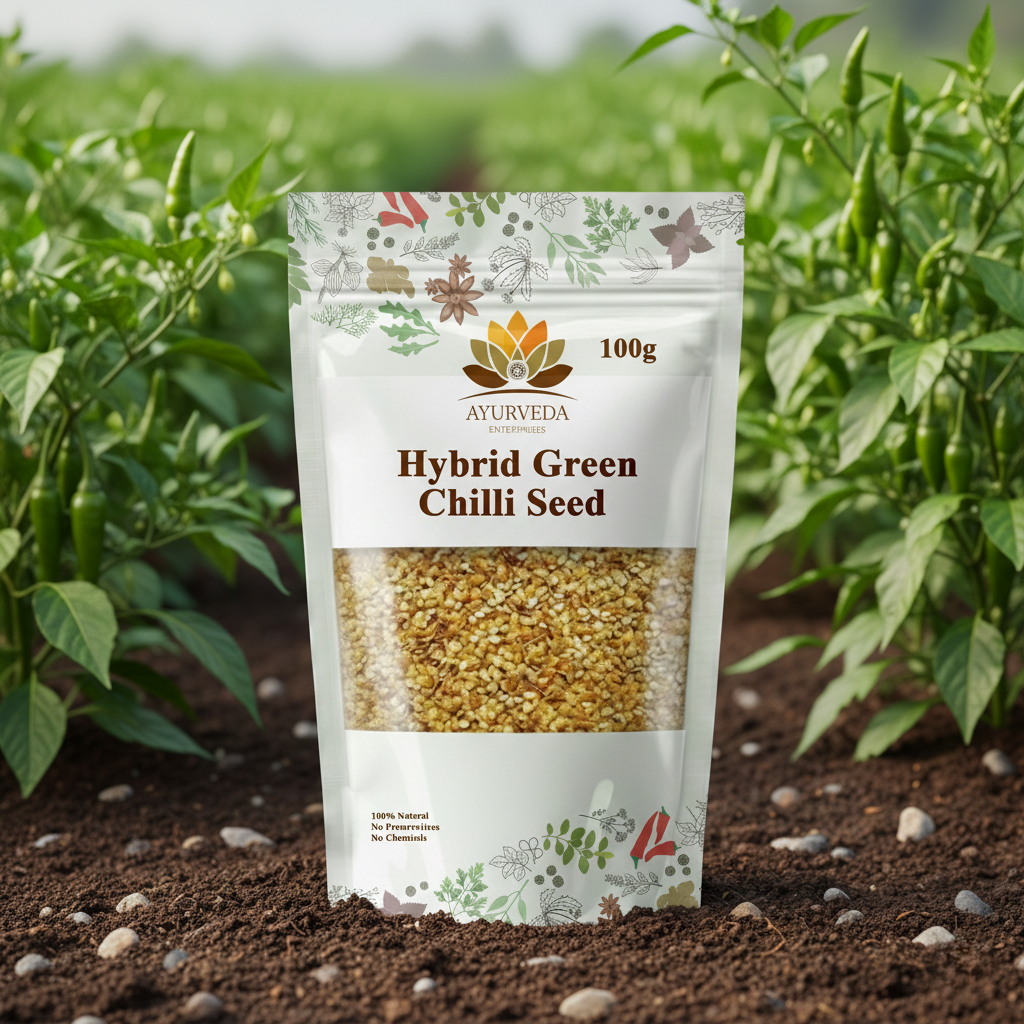 Hybrid Green Chilli Seeds 100g (Pack of 4) – High Yield & Fast Growing Variety - Image 4